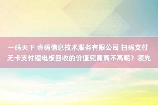 一码天下 壹码信息技术服务有限公司 扫码支付 无卡支付锂电板回收的价值究竟高不高呢？领先